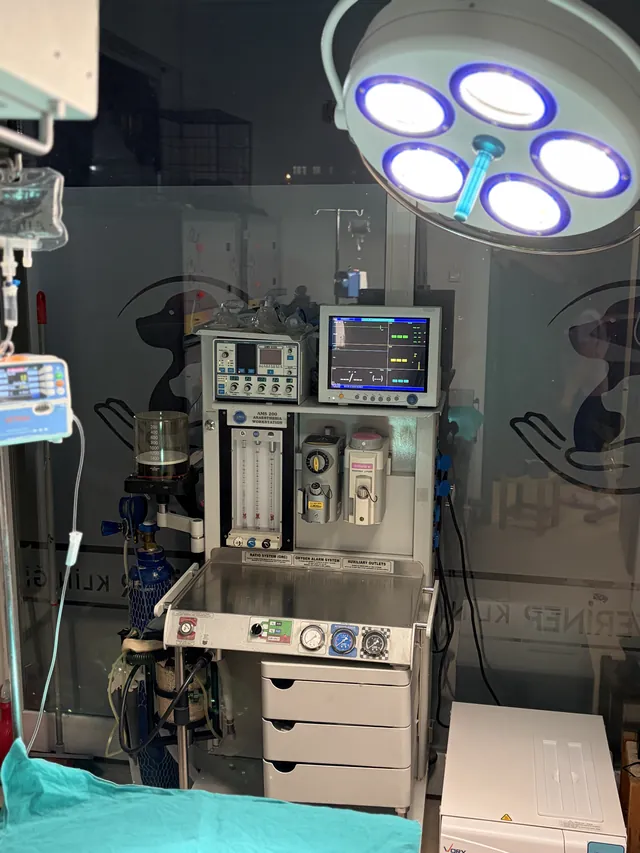 Nota Veteriner Kliniği ameliyathane ve anestezi ekipmanı