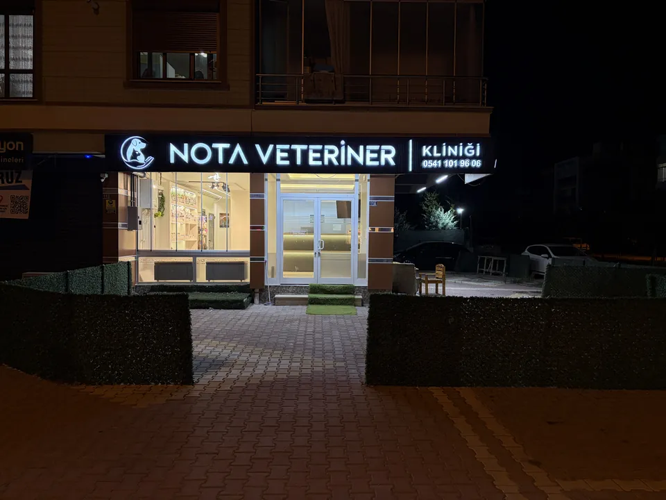 Nota Veteriner Kliniği ışıklı tabela, gece görünümü